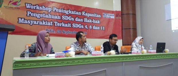 Workshop penguatan kapasitas tentang SDGs Pidie-1